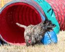 20160619-cckc-0361