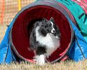 20160619-cckc-0365