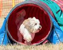 20160619-cckc-0374