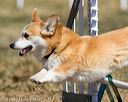 20160619-cckc-0388