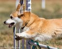 20160619-cckc-0392