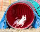20160619-cckc-0402