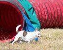 20160619-cckc-0404