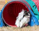 20160619-cckc-0413