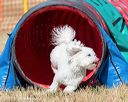 20160619-cckc-0422