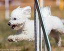 20160619-cckc-0425