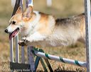 20160619-cckc-0428
