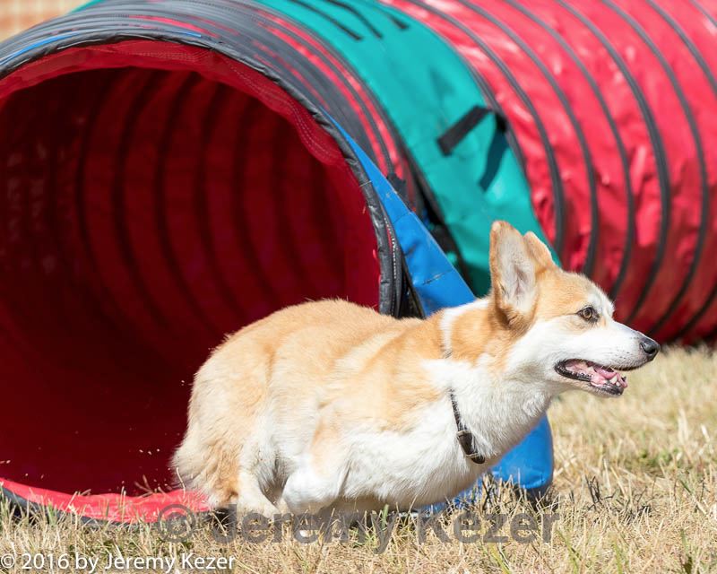 20160619-cckc-0390.jpg