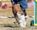 20160619-cckc-0446