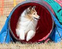 20160619-cckc-0450