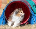 20160619-cckc-0451