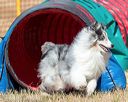 20160619-cckc-0459
