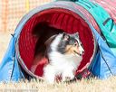 20160619-cckc-0465