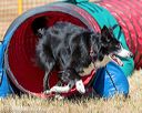20160619-cckc-0482
