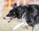 20160619-cckc-0484