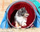 20160619-cckc-0485