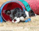 20160619-cckc-0514