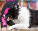 20160619-cckc-0568