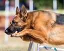 20160619-cckc-0578
