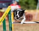 20160619-cckc-0579