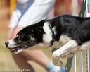 20160619-cckc-0581