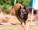 20160619-cckc-0597