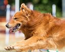 20160619-cckc-0605