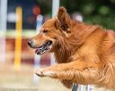 20160619-cckc-0611