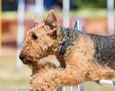 20160619-cckc-0613