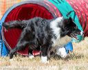 20160619-cckc-0648