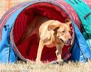 20160619-cckc-0654
