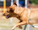 20160619-cckc-0658
