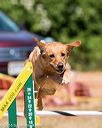 20160619-cckc-0679