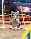 20160619-cckc-0713