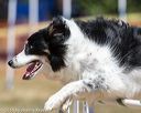 20160619-cckc-0737