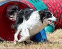 20160619-cckc-0742
