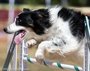 20160619-cckc-0746