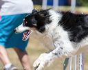20160619-cckc-0747
