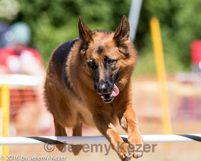 20160619-cckc-0577.jpg