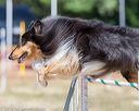 20160619-cckc-0750