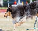 20160619-cckc-0766