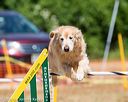 20160619-cckc-0777