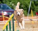 20160619-cckc-0778