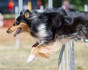 20160619-cckc-0794