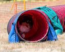 20160619-cckc-0795