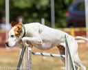 20160619-cckc-0803