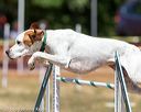 20160619-cckc-0808