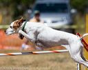 20160619-cckc-0809