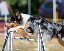 20160619-cckc-0816