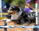 20160619-cckc-0817